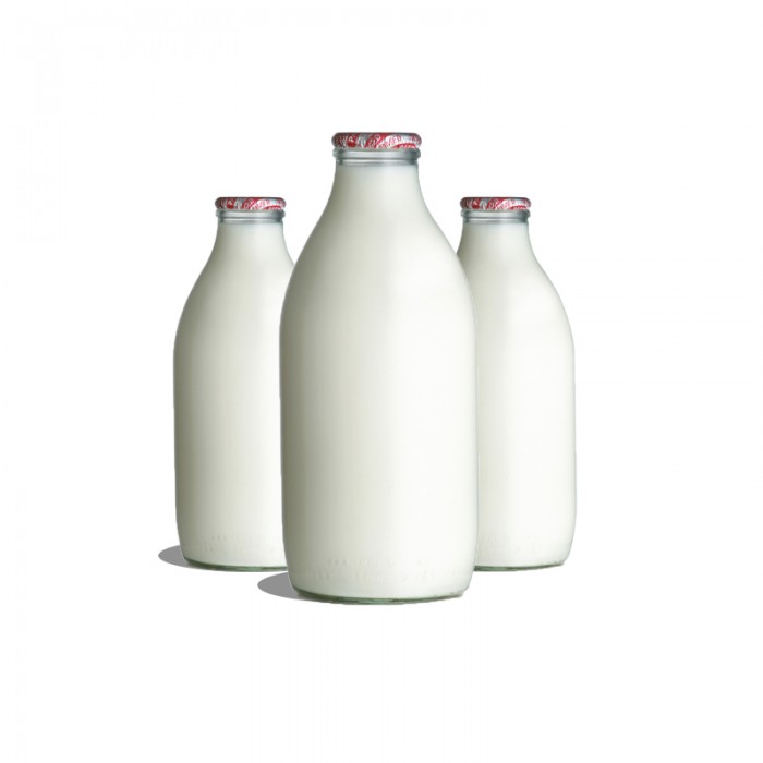 E-Ticaret Altyapısı | Güçlü ve Hazır Sistemler – SOLVES