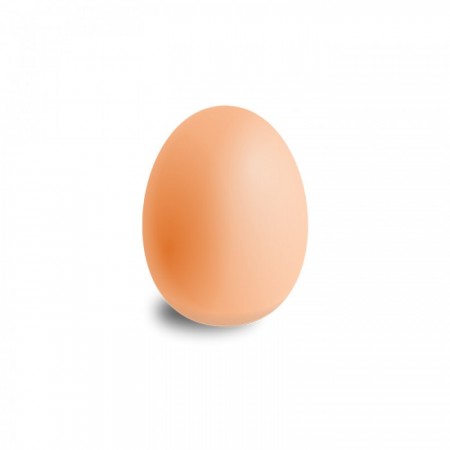 Test Yumurta Ürünü 01